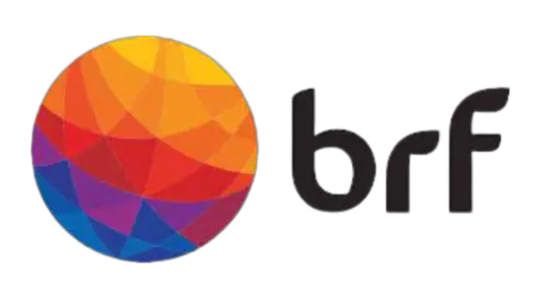 AnyConv.com__brf